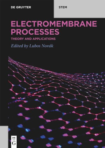Electromembrane Processes Theory And Applications Luboš Novák Editor