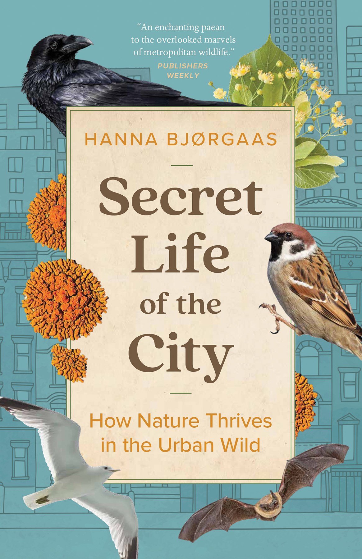 Secret Life Of The City Hanna Hagen Bjrgaas
