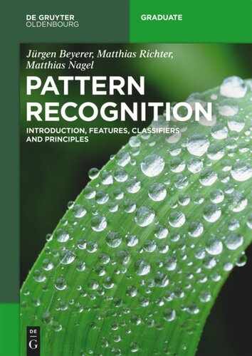 Pattern Recognition Introduction Features Classifiers And Principles Jrgen Beyerer Matthias Richter Matthias Nagel
