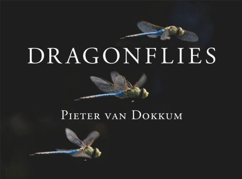 Dragonflies Magnificent Creatures Of Water Air And Land Pieter Van Dokkum