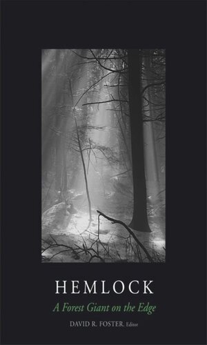 Hemlock A Forest Giant On The Edge Unknown