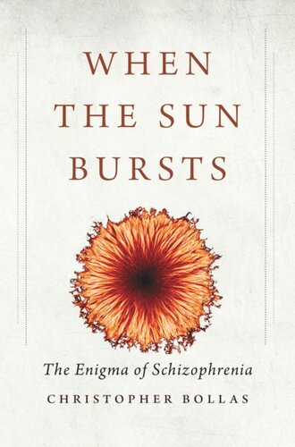 When The Sun Bursts The Enigma Of Schizophrenia Christopher Bollas