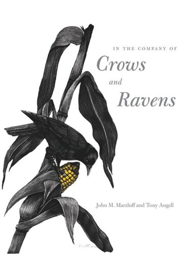 In The Company Of Crows And Ravens John M Marzluff Tony Angell