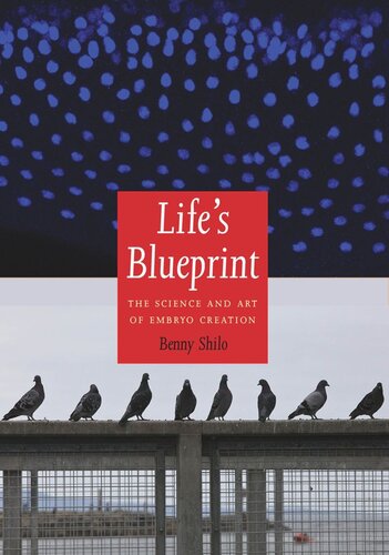 Lifes Blueprint The Science And Art Of Embryo Creation Benny Shilo