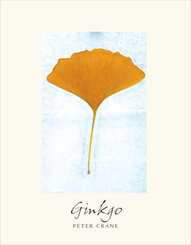 Ginkgo The Tree That Time Forgot Peter Crane