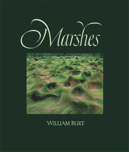 Marshes The Disappearing Edens John Kane