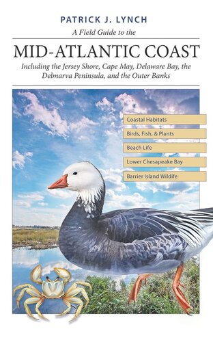 A Field Guide To The Midatlantic Coast Including The Jersey Shore Cape May Delaware Bay The Delmarva Peninsula And The Outer Banks Patrick J Lynch