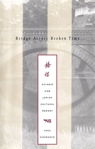 Bridge Across Broken Time David Cornell