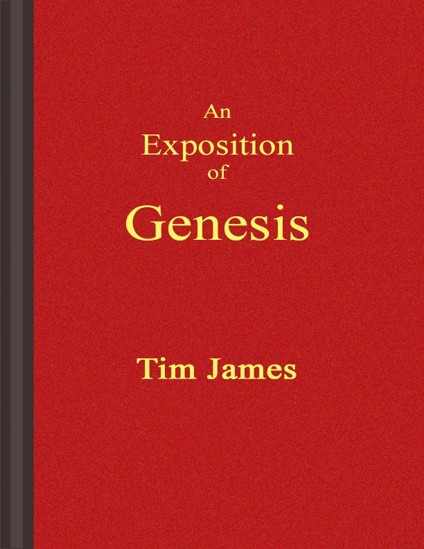 An Exposition Of Genesis Tim James