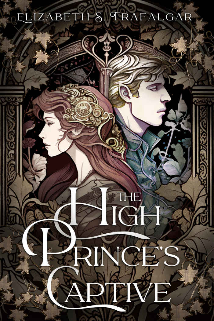 The High Princes Captive The Leugarvin Trilogy Book 1 Elizabeth S Trafalgar