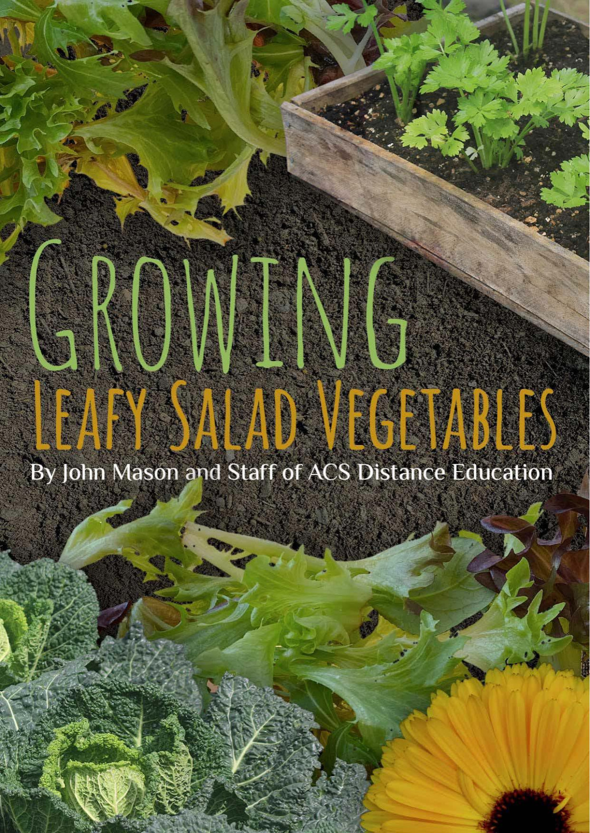 Growing Leafy Salad Vegetables John Mason