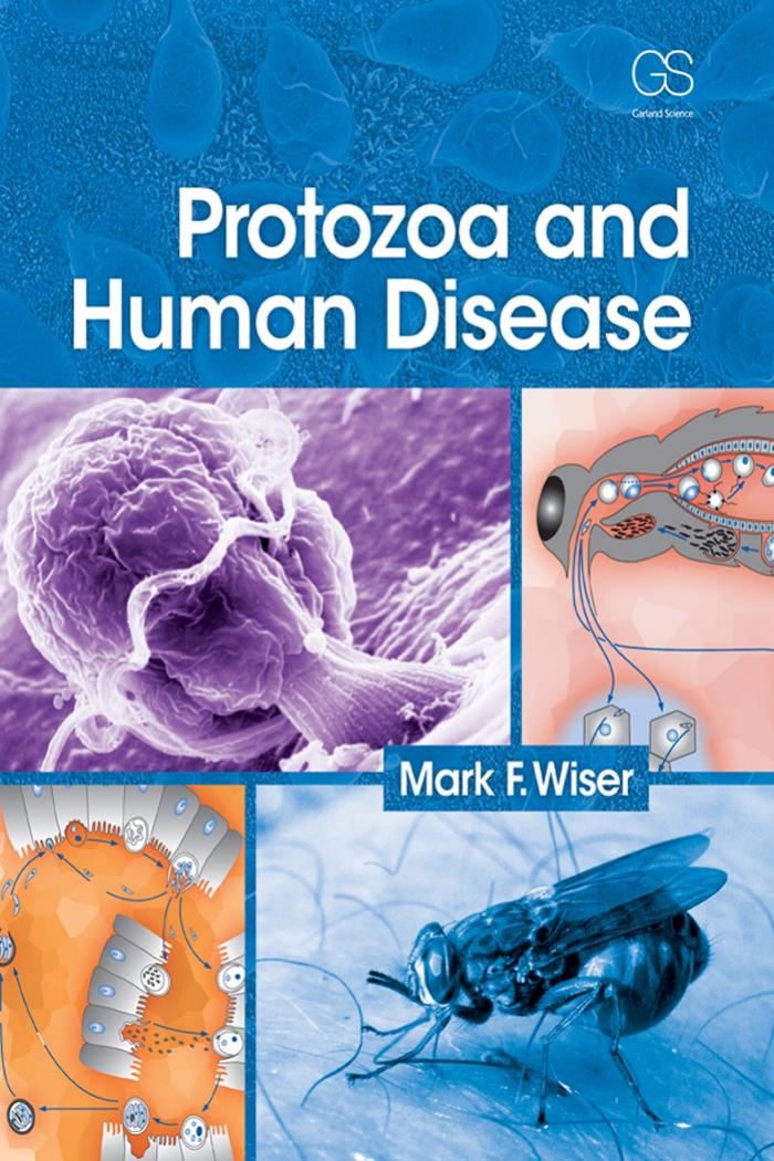 Protozoa And Human Disease Mark F Wiser