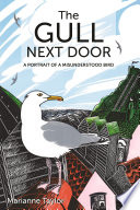 The Gull Next Door Marianne Taylor