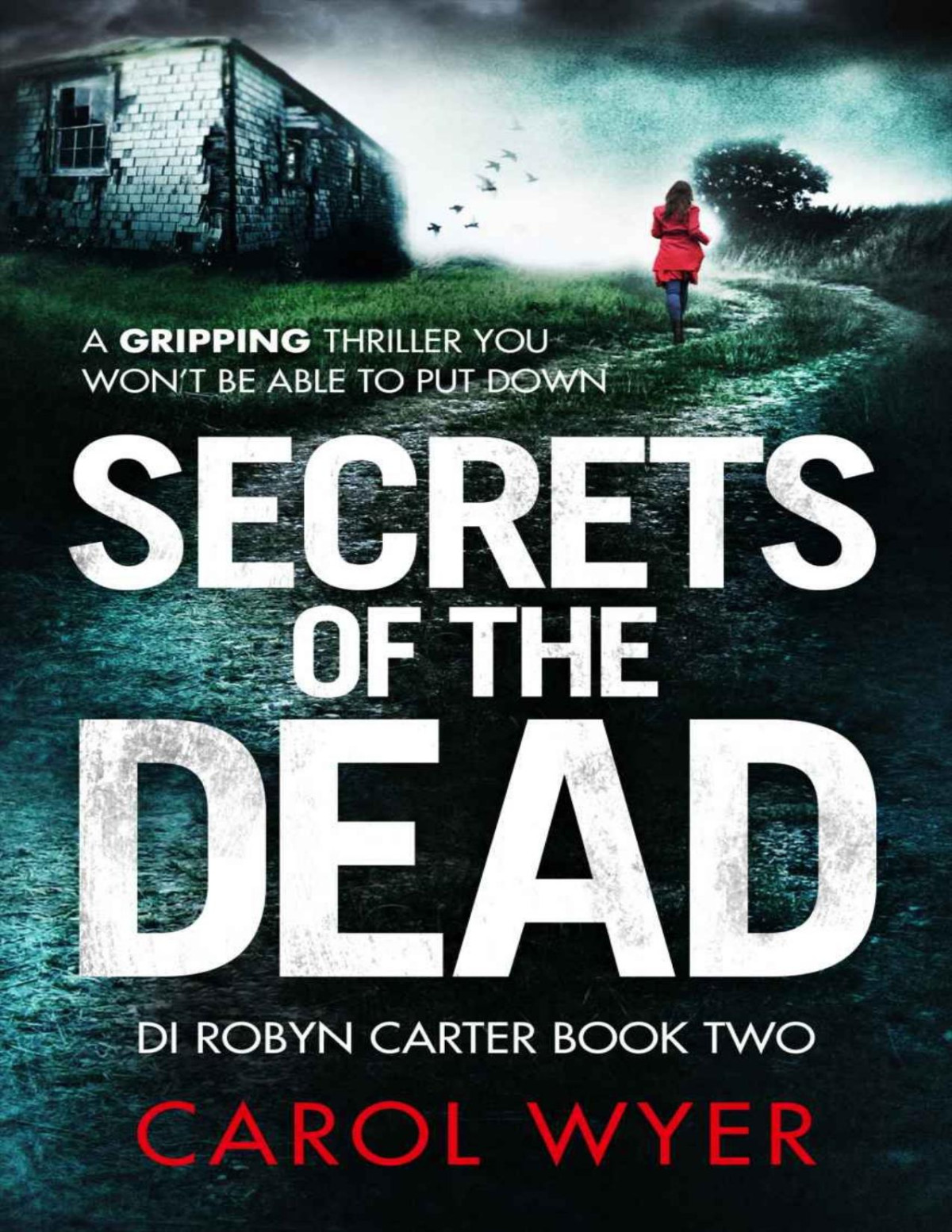 Secrets Of The Dead A Serial Killer Thriller That Will Have You Hooked Detective Robyn Carter Crime Thriller Series Book 2 Carol Wyer