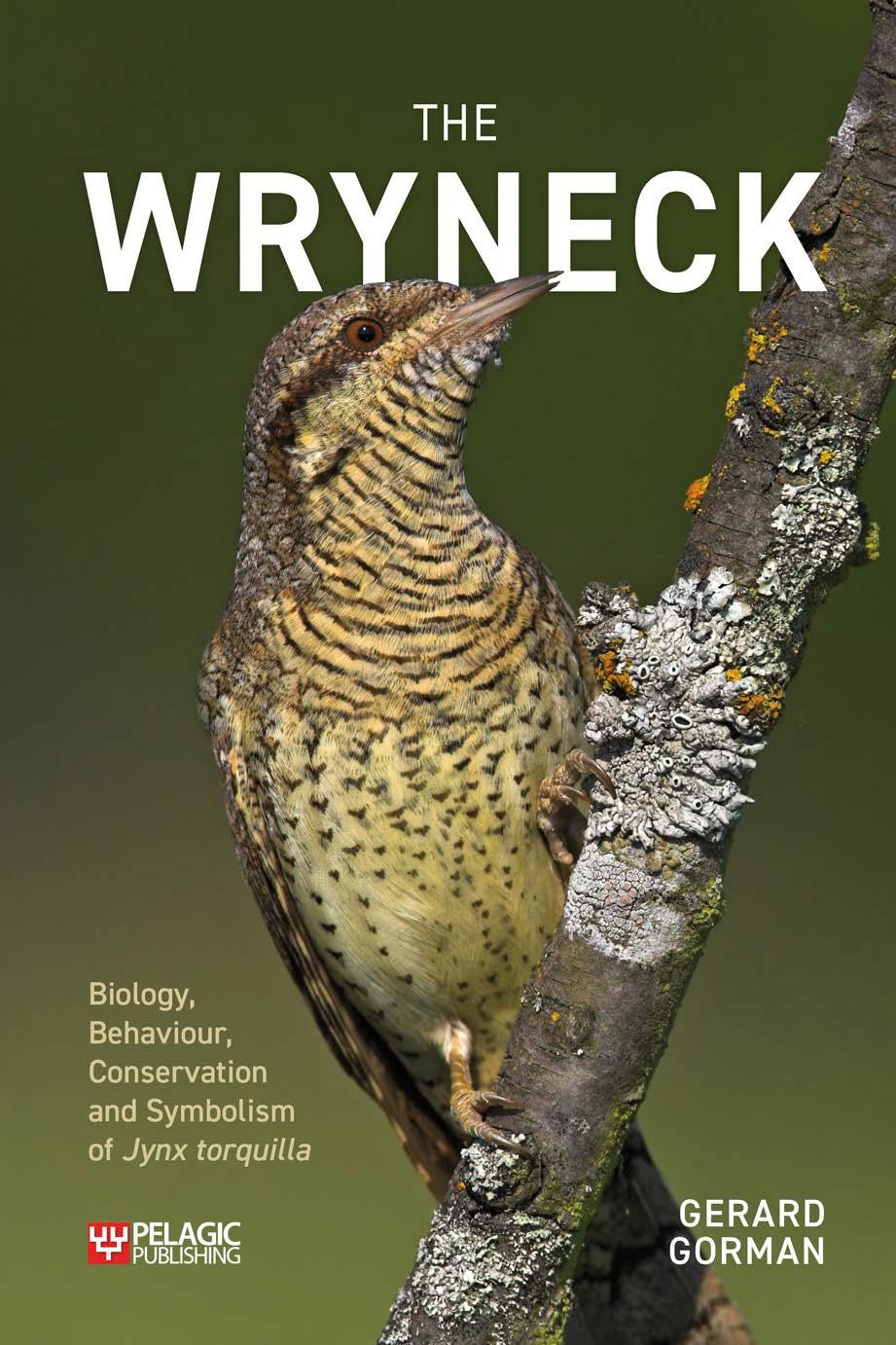 The Wryneck Gerard Gorman