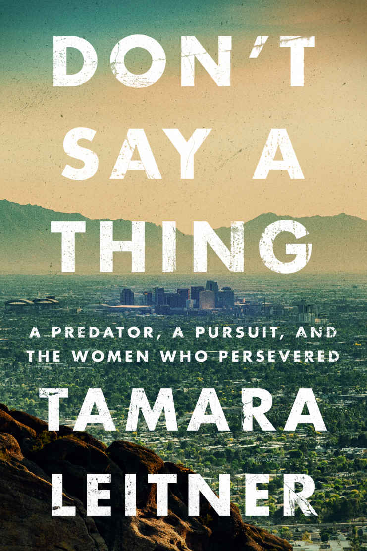 Dont Say A Thing A Predator A Pursuit And The Women Who Persevered Tamara Leitner