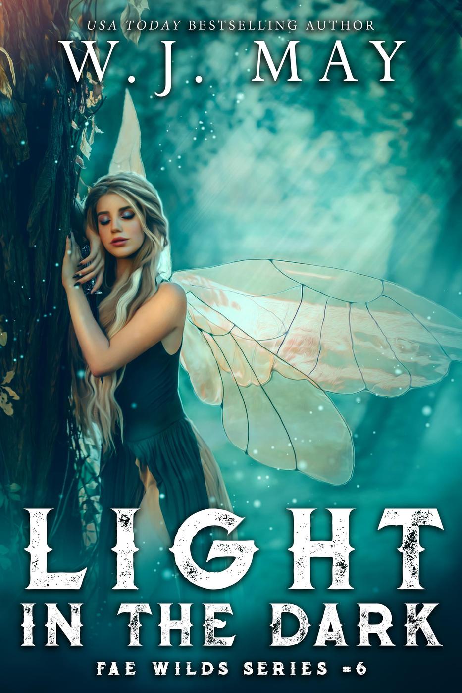 Light In The Dark W J May