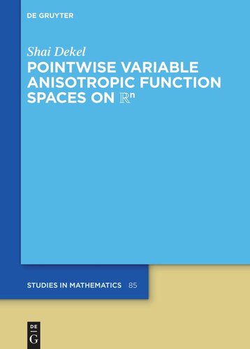 Pointwise Variable Anisotropic Function Spaces On Shai Dekel