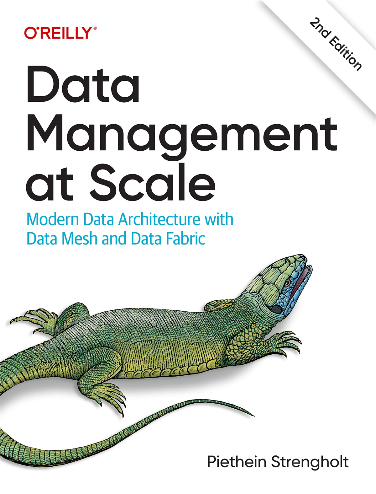 Data Management At Scale Modern Data Architecture With Data Mesh And Data Fabric 2nd Edition 2nd Edition Piethein Strengholt