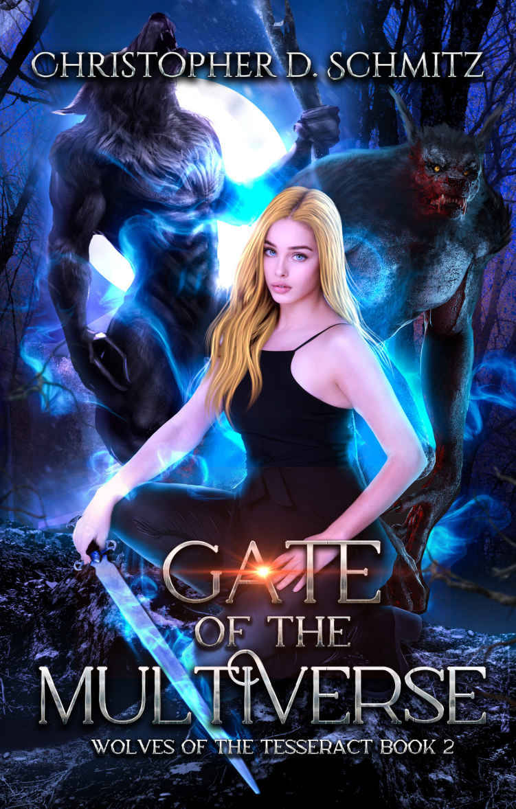 Gate Of The Multiverse Schmitz Christopher D