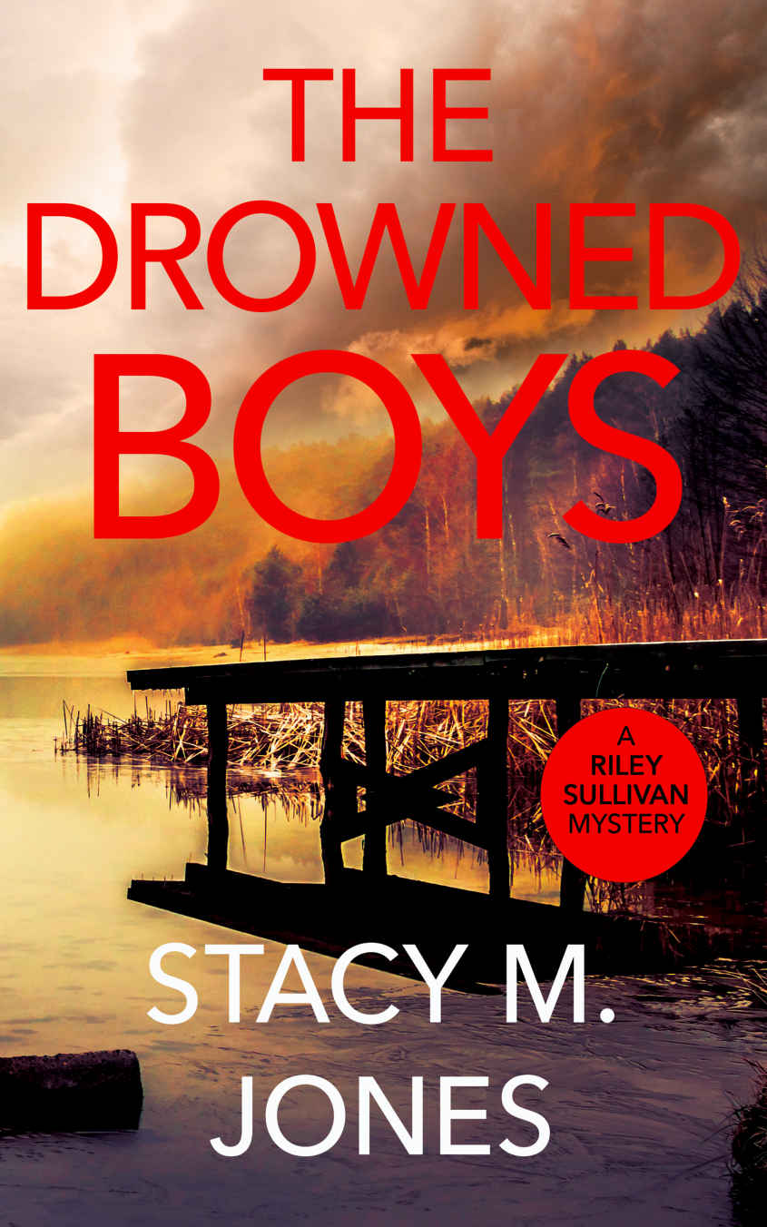 The Drowned Boys Riley Sullivan Mystery Book 8 Stacy M Jones