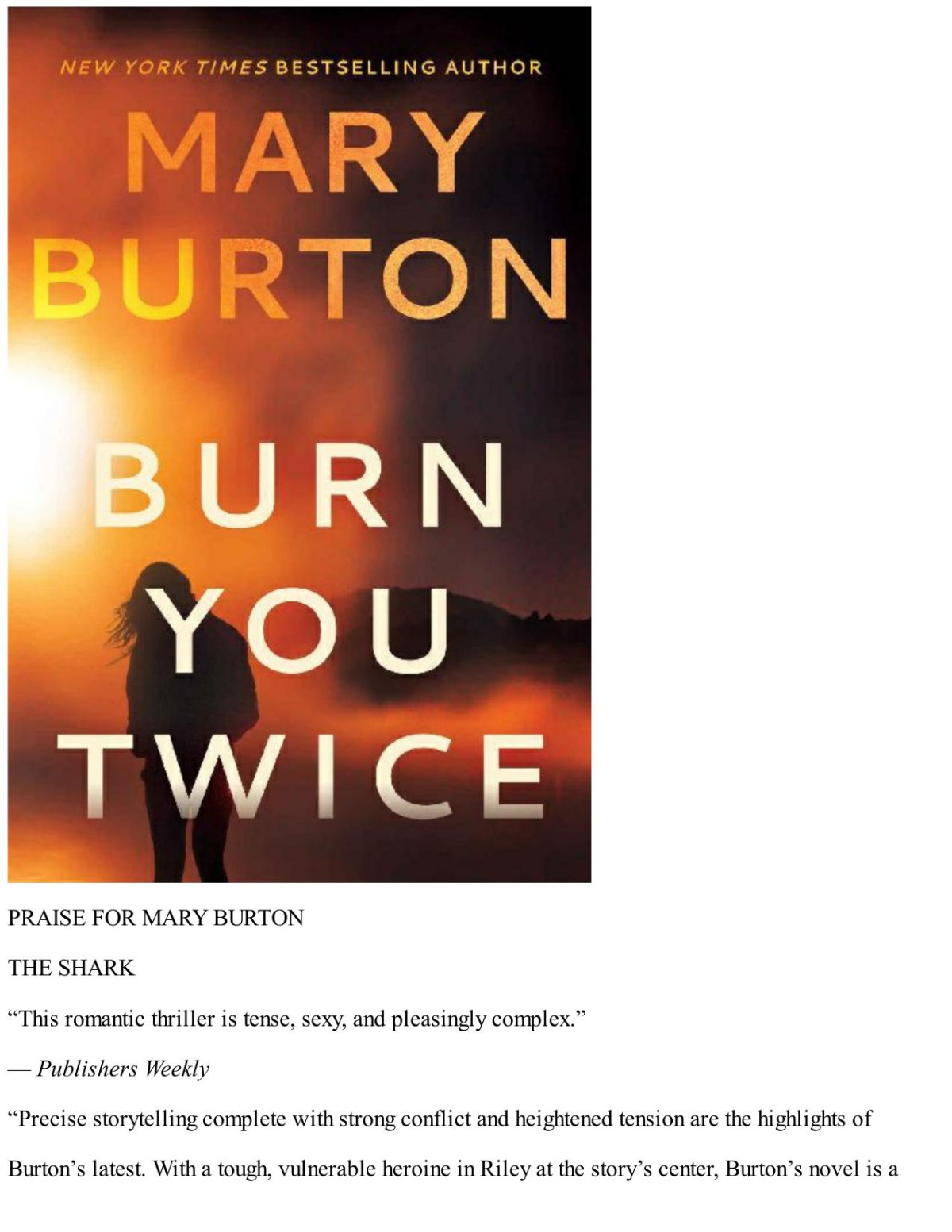 Burn You Twice Mary Burton