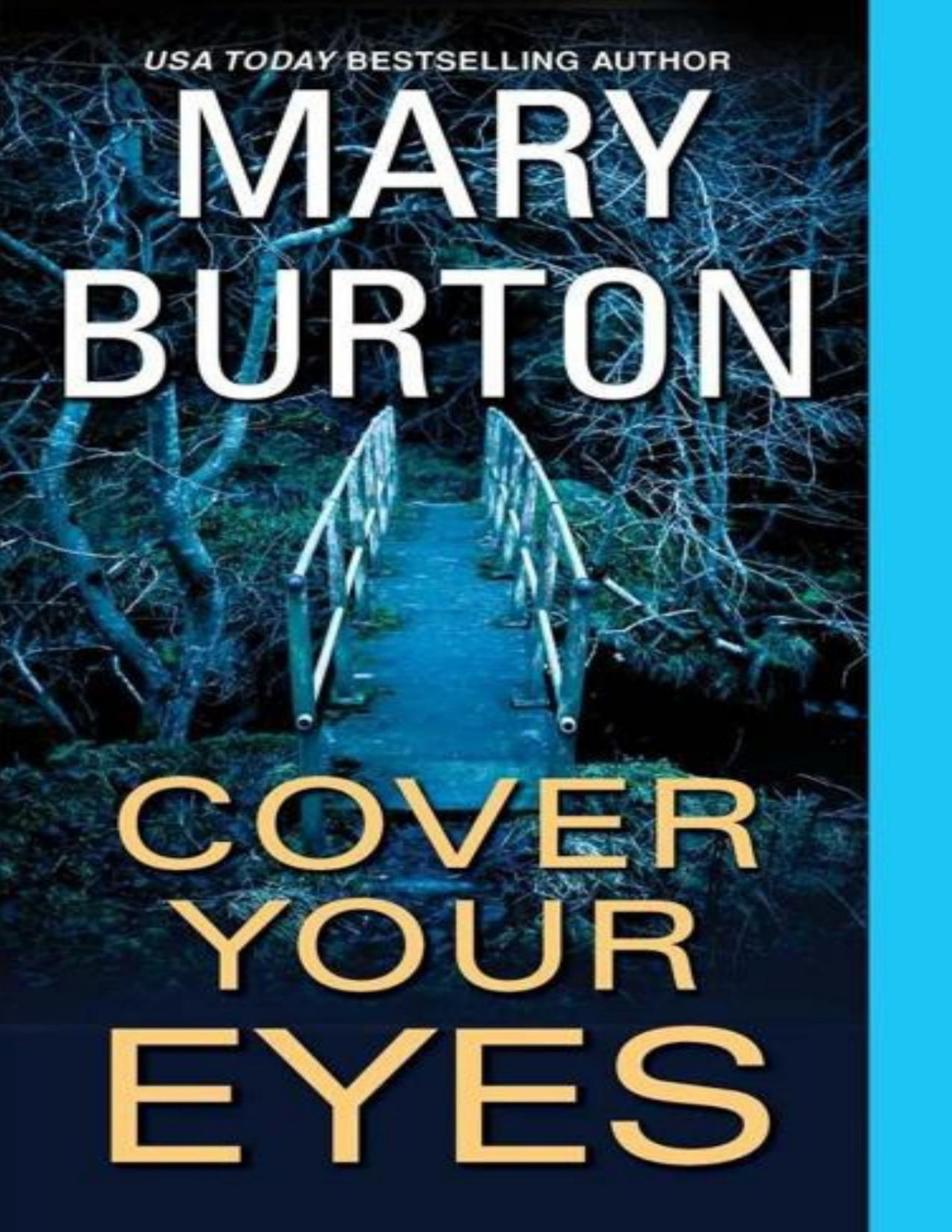 Cover Your Eyes Mary Burton