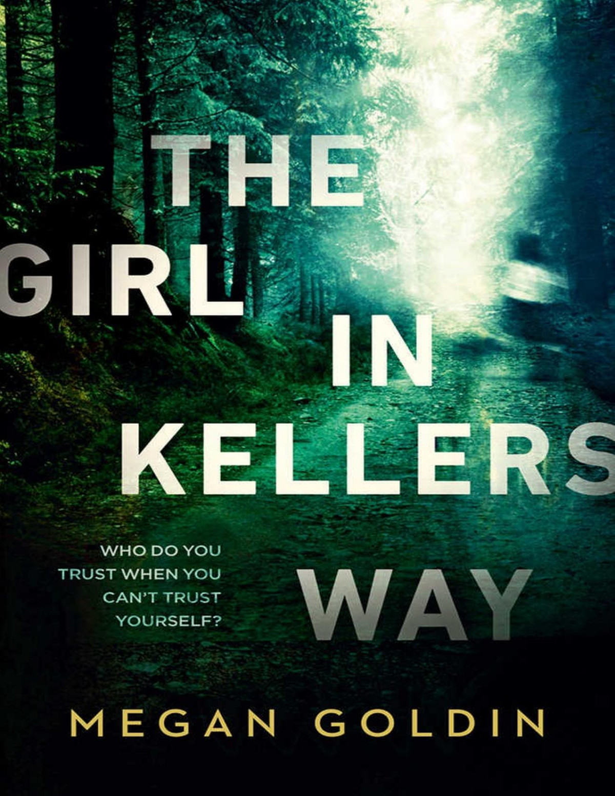 The Girl In Kellers Way Megan Goldin
