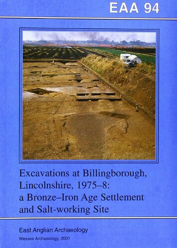 Excavations At Billingborough Lincolnshire 19758 A Bronzeiron Age Settlement And Saltworking Site Peter Chowne