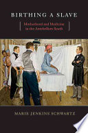 Birthing A Slave Motherhood And Medicine In The Antebellum South 1st Edition Marie Jenkins Schwartz