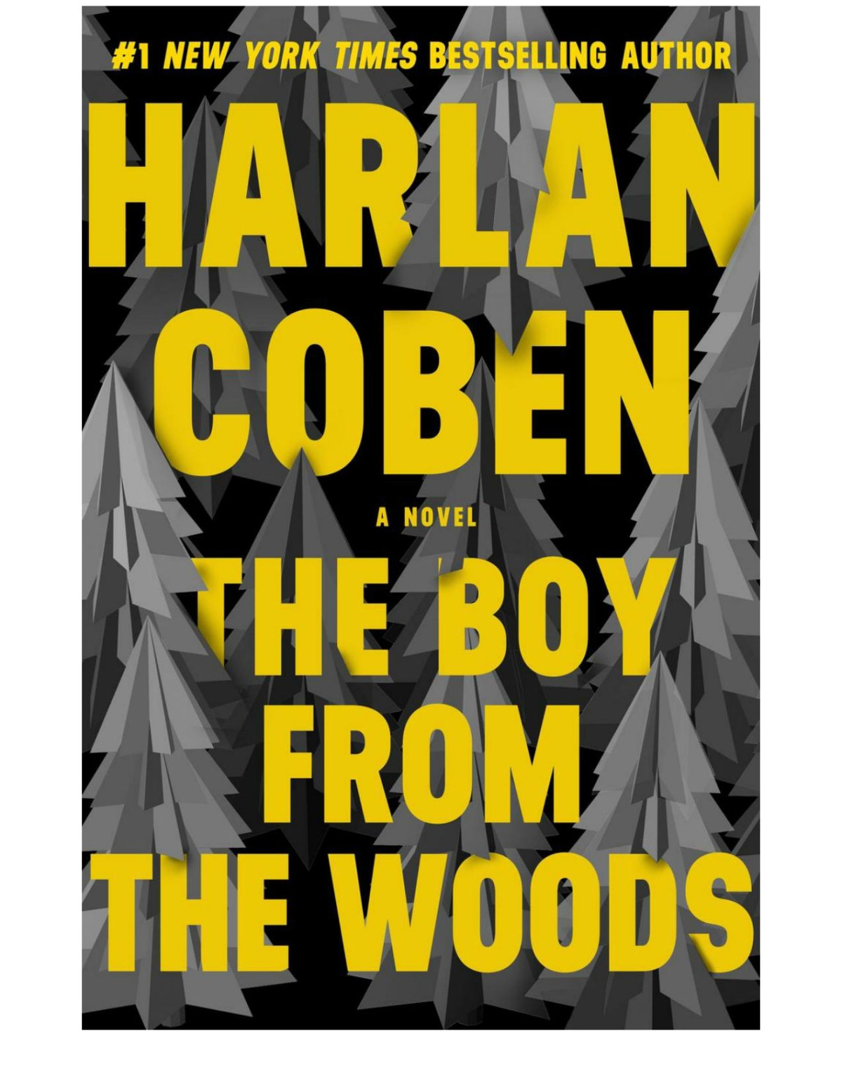 The Boy From The Woods Harlan Coben