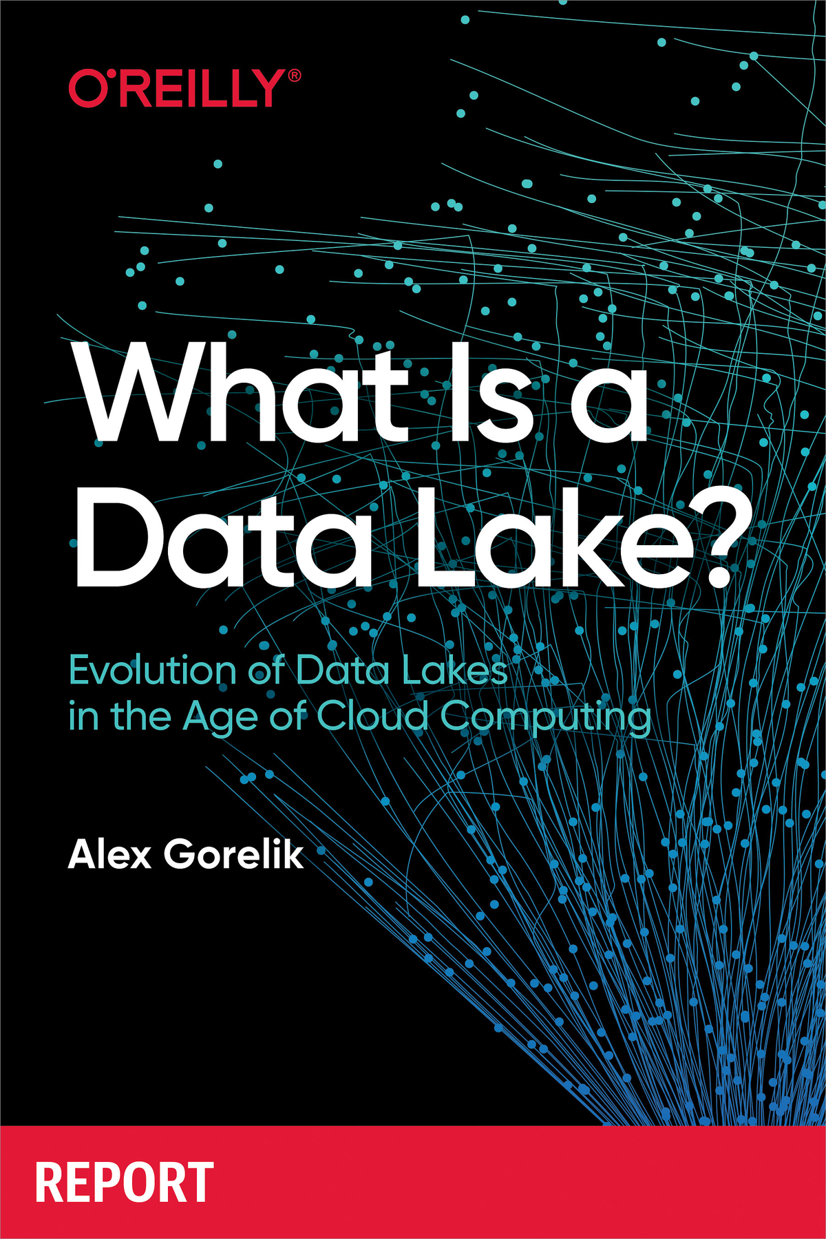 What Is A Data Lake Alex Gorelik