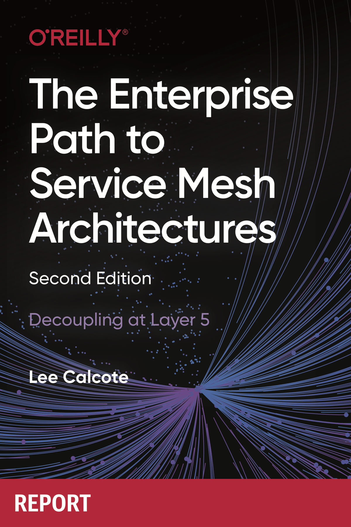 The Enterprise Path To Service Mesh Architectures 2nd Edition 2nd Lee Calcote