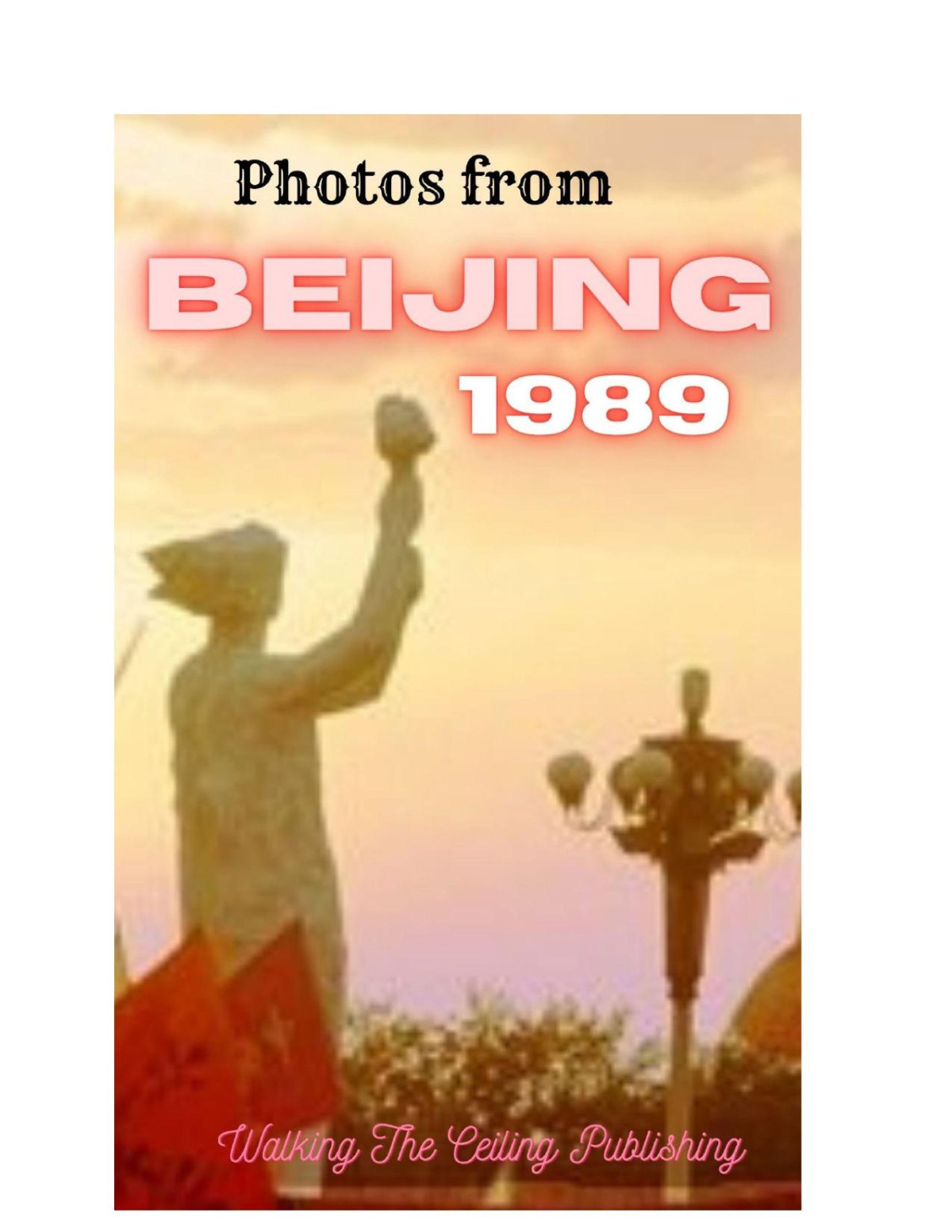 Photos From Beijing 1989 1st Edition Wesley Gibbs