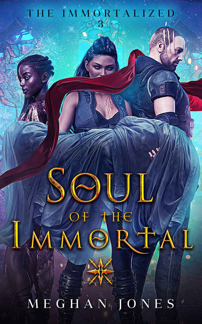 Soul Of The Immortal Book 3 Of The Immortalized 1st Edition Meghan Jones