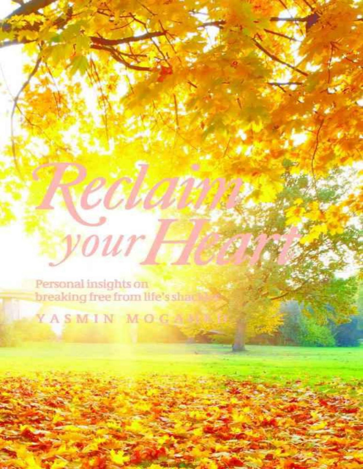 Reclaim Your Heart Yasmin Mogahed