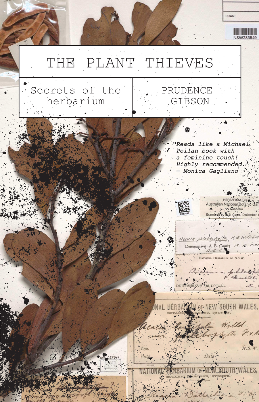 The Plant Thieves Secrets Of The Herbarium 1st Edition Prudence Gibson