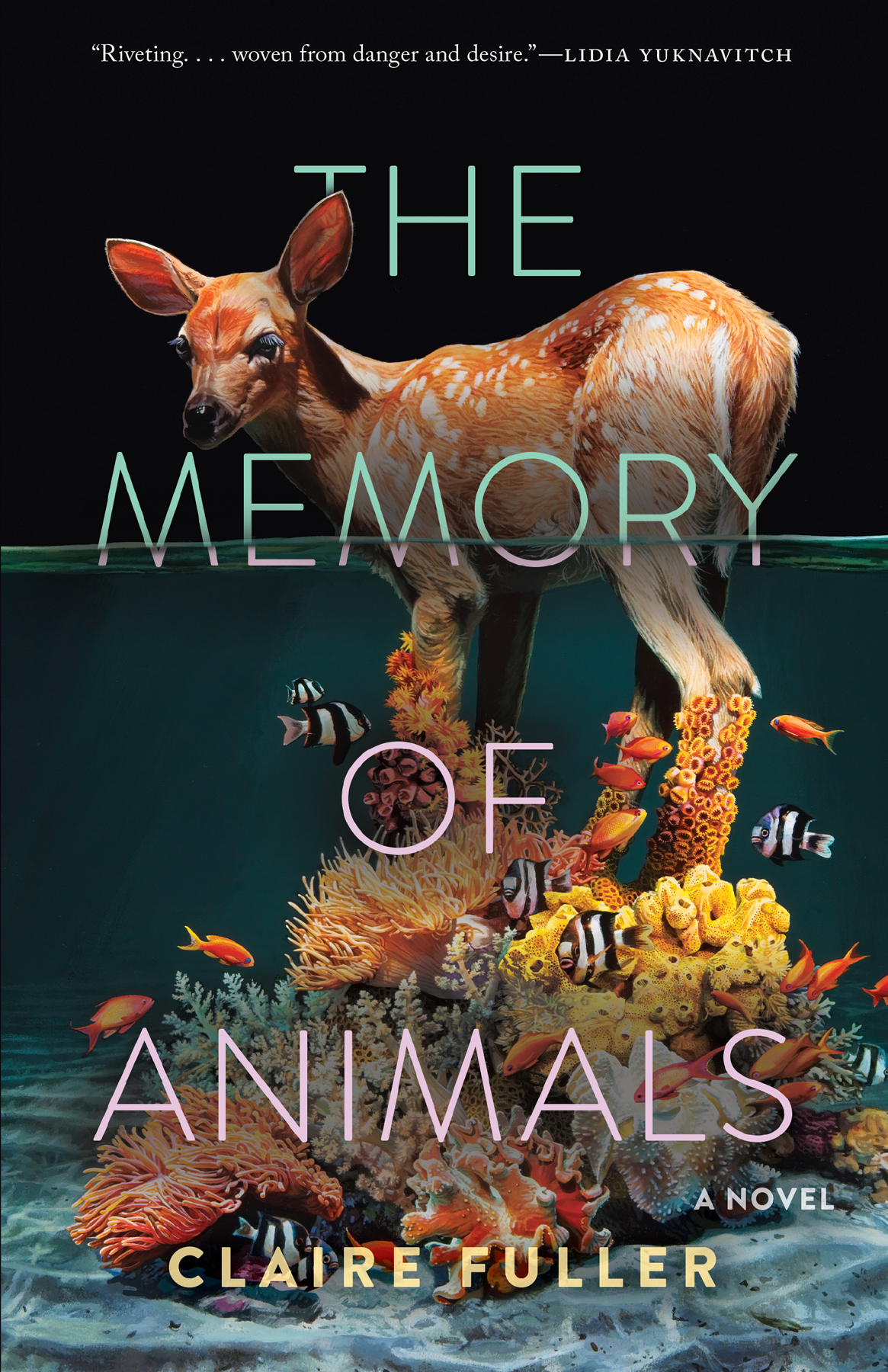 The Memory Of Animals 1st Edition Claire Fuller