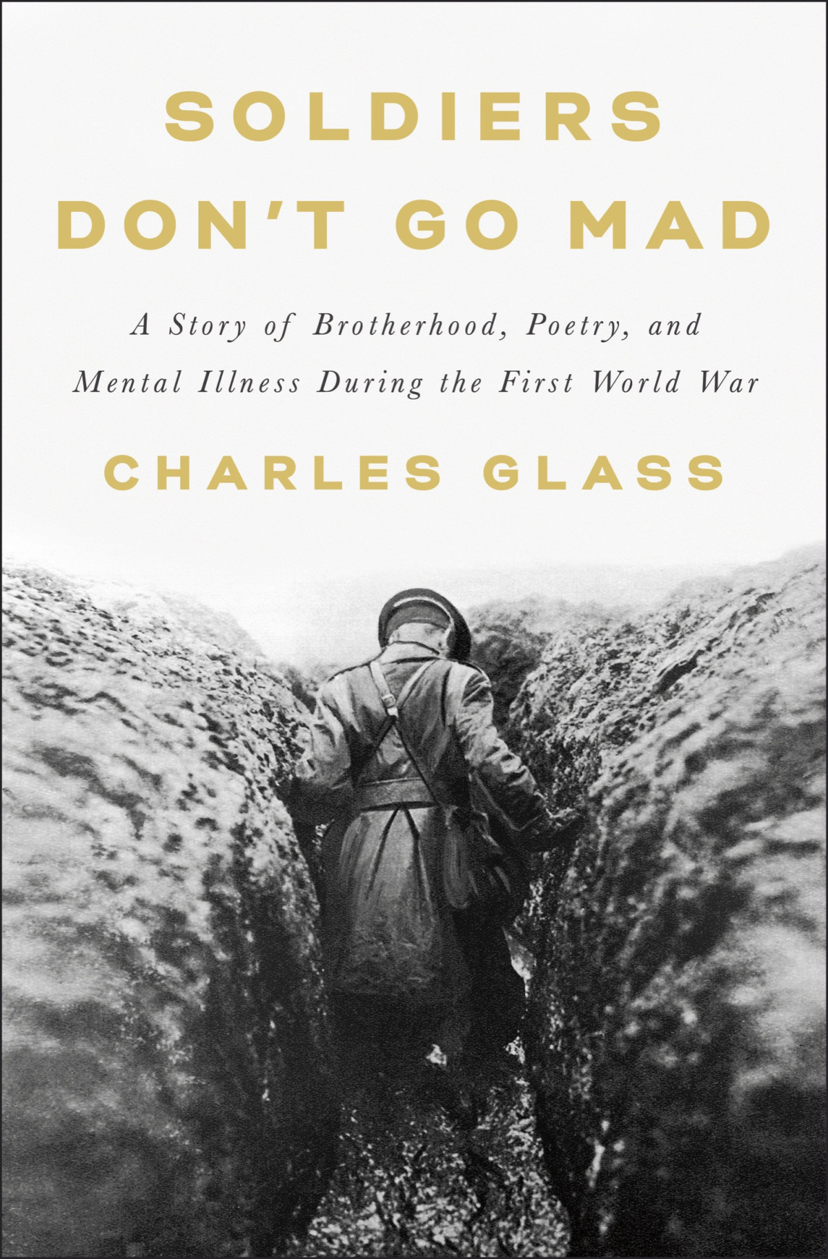 Soldiers Dont Go Mad A Story Of Brotherhood Poetry And Mental Illness During The First World War Charles Glass