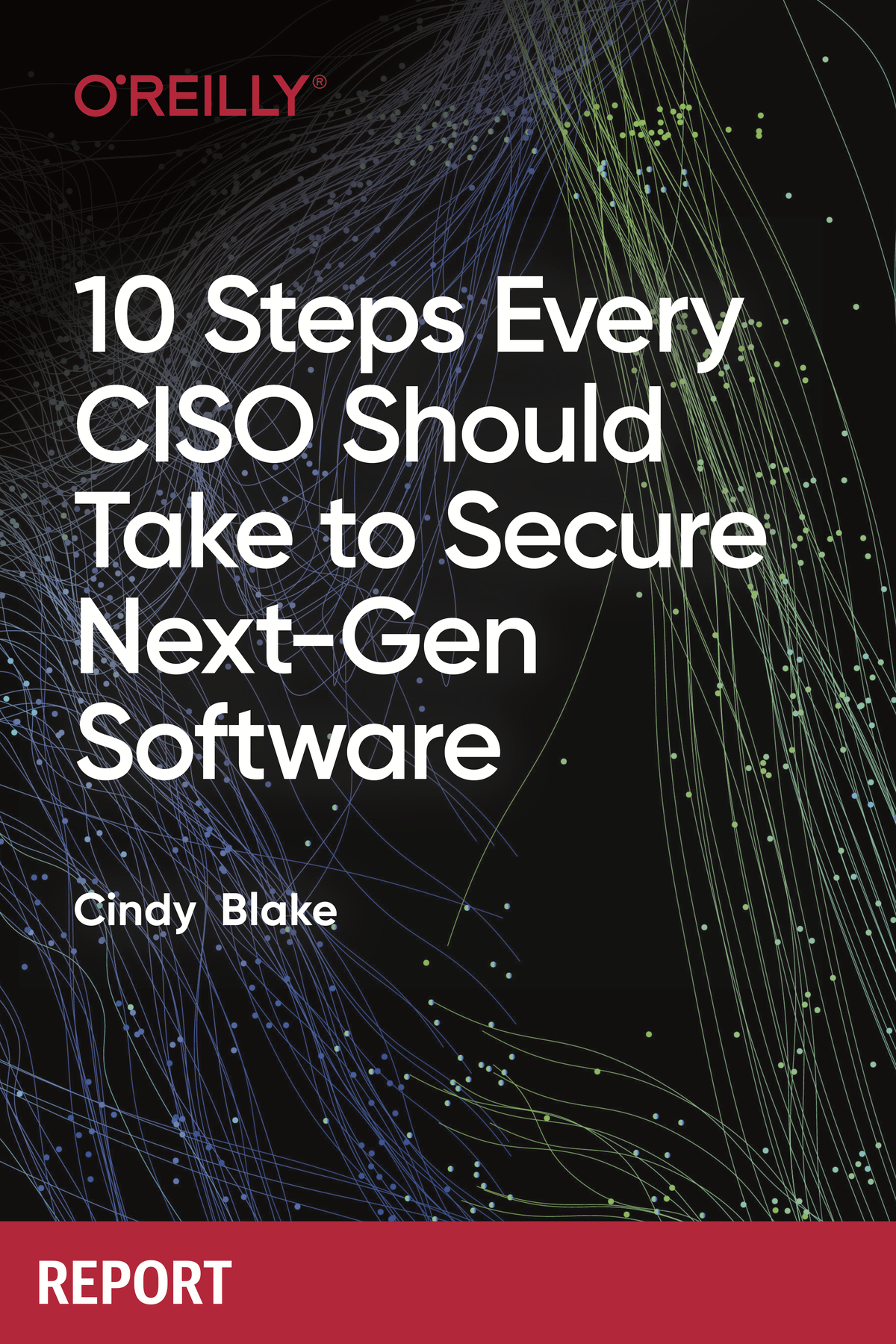 10 Steps Every Ciso Should Take To Secure Nextgen Software Cindy Blake