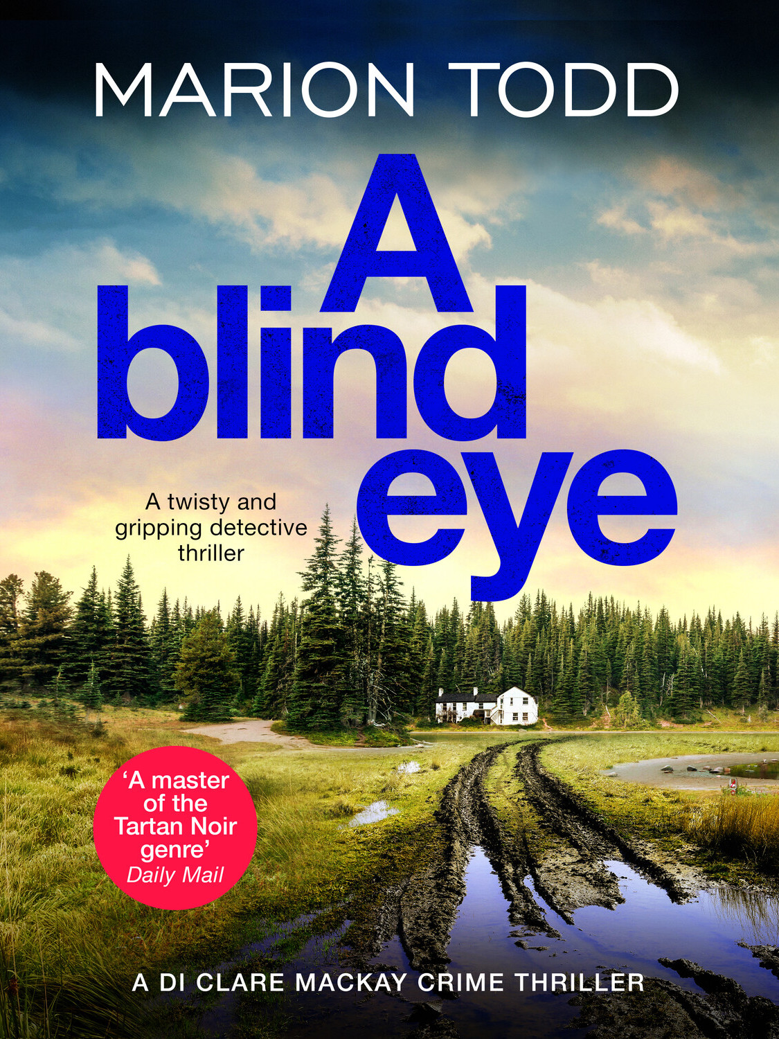 A Blind Eye Marion Todd