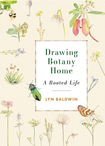 Drawing Botany Home A Rooted Life Lyn Baldwin