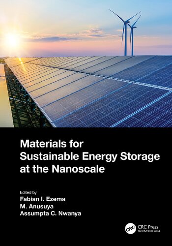Materials For Sustainable Energy Storage At The Nanoscale Fabian Ifeanyichukwu Ezema M Anusuya Assumpta C Nwanya