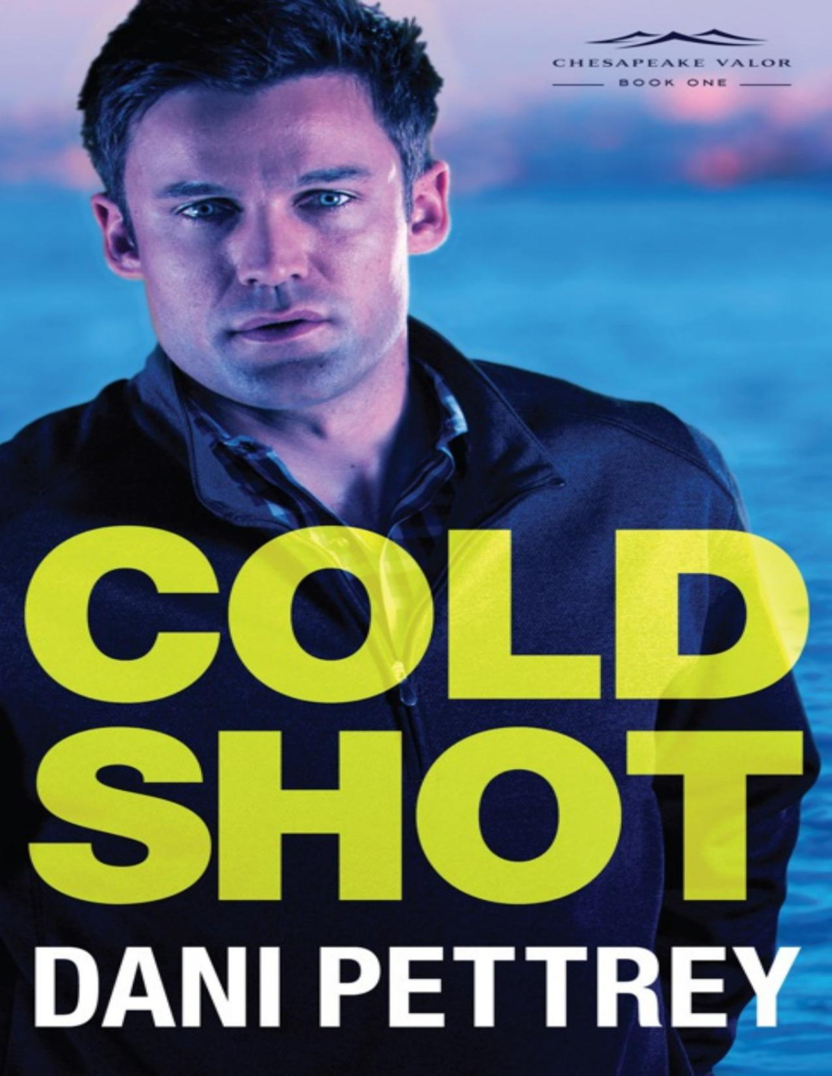 Cold Shot Chesapeake Valor Book 1 Dani Pettrey