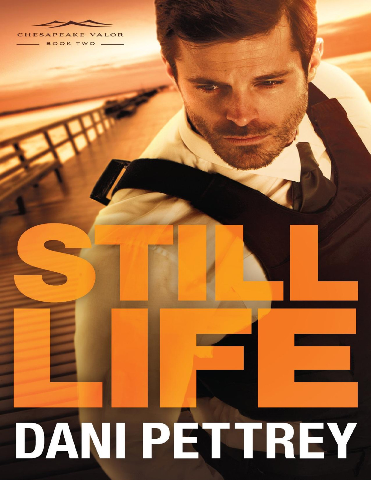 Still Life Chesapeake Valor Book 2 Dani Pettrey