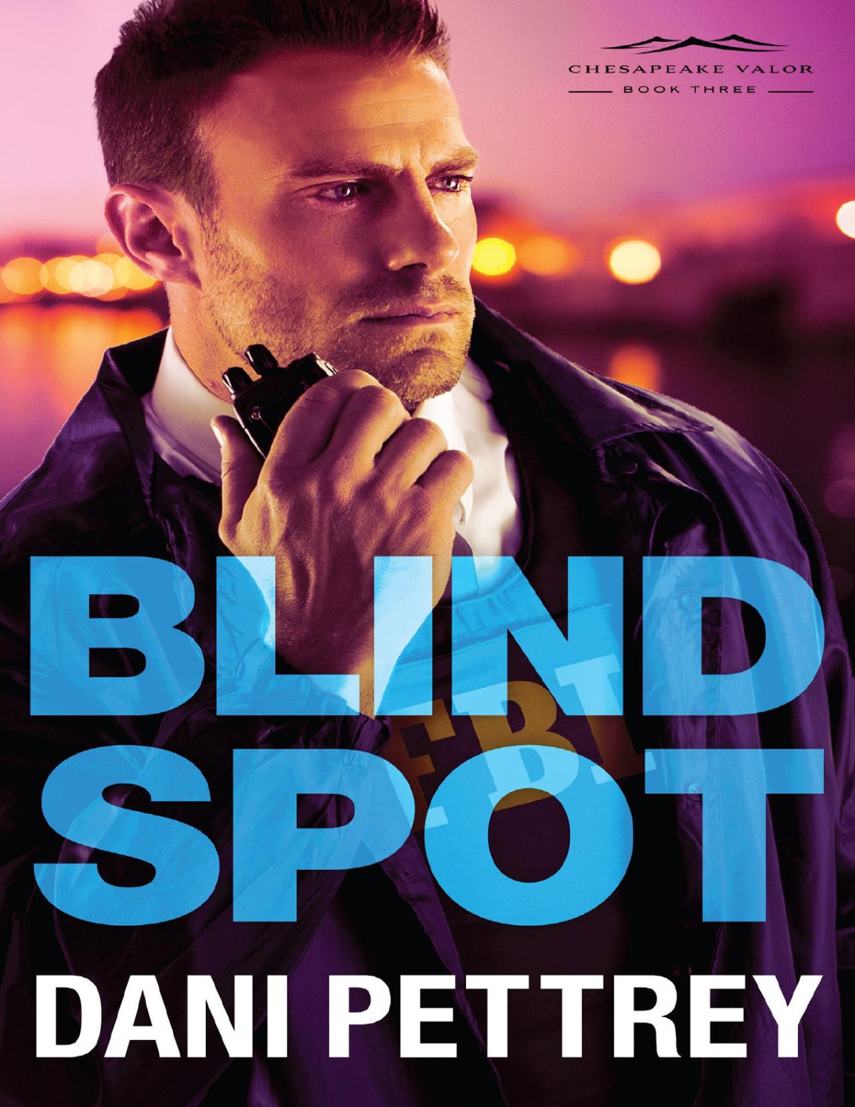 Blind Spot Chesapeake Valor Book 3 Dani Pettrey