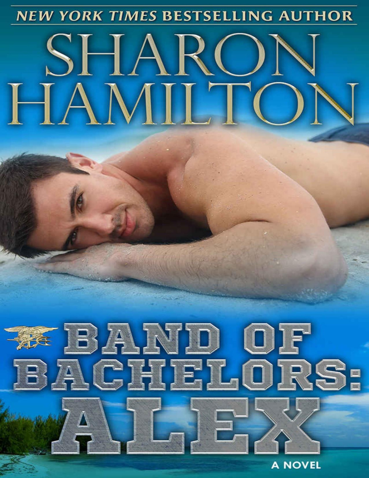 Band Of Bachelors Alex Book 2 Sharon Hamilton
