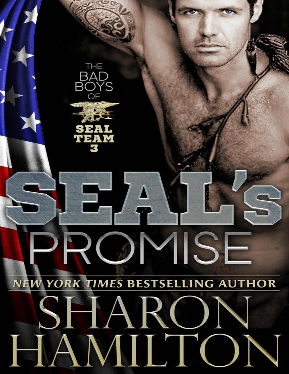 Seals Promise Bad Boys Of Seal Team 3 Sharon Hamilton