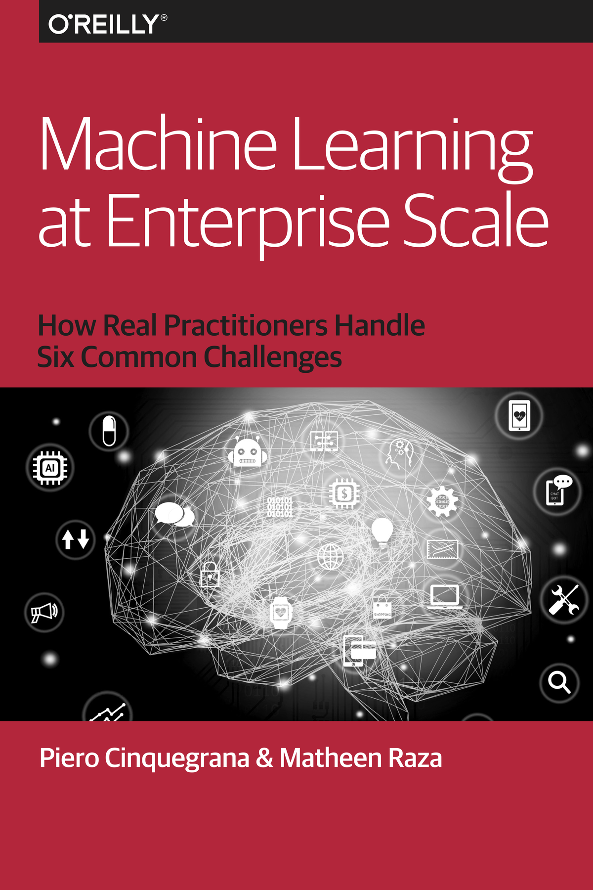 Machine Learning At Enterprise Scale Piero Cinquegrana Matheen Raza