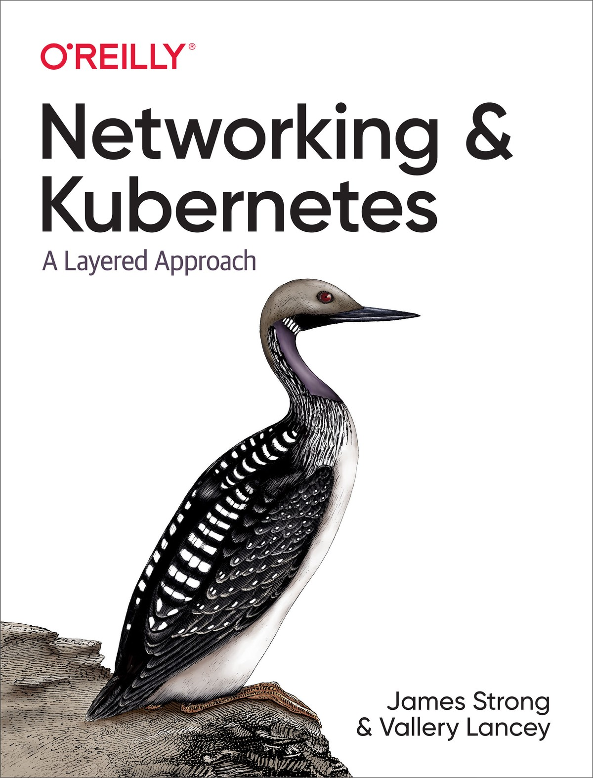 Networking And Kubernetes 1st Edition James Strong Vallery Lancey